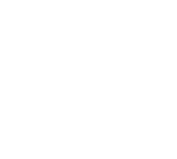 CapVest